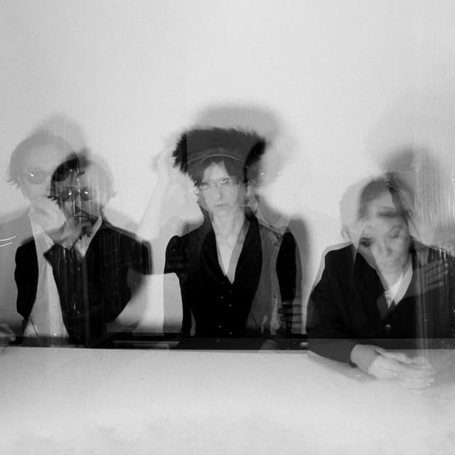 Vanishing Twin artist profile image