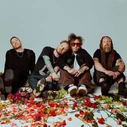 Shinedown's artist profile image
