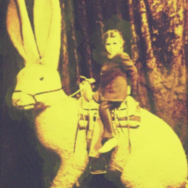 Rabbitology's artist profile image