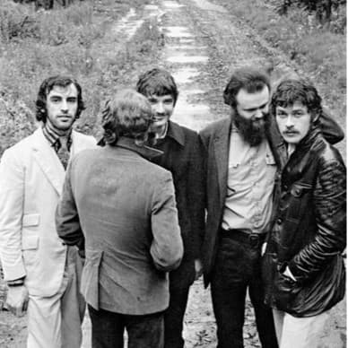 The Band's artist profile image