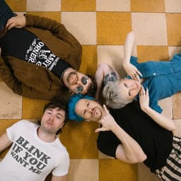 The Wild Things's artist profile image