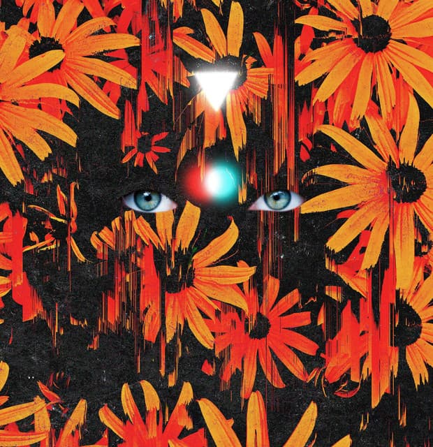 The Heavy Pets's artist profile image