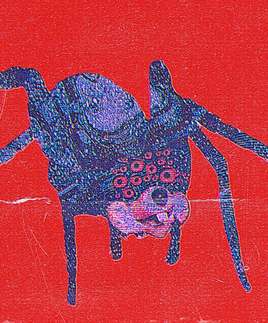 Grim Salvo's artist profile image