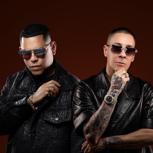 Baby Rasta y Gringo artist profile image