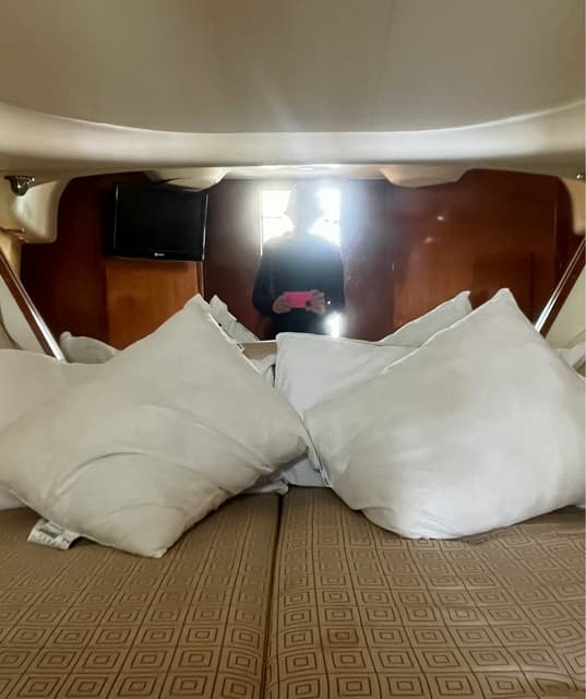 TRISTÁN! artist profile image