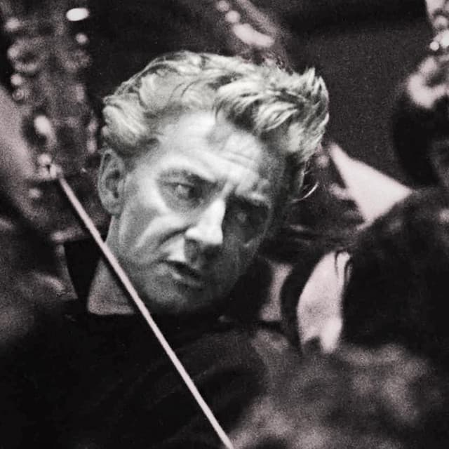 Herbert von Karajan artist profile image