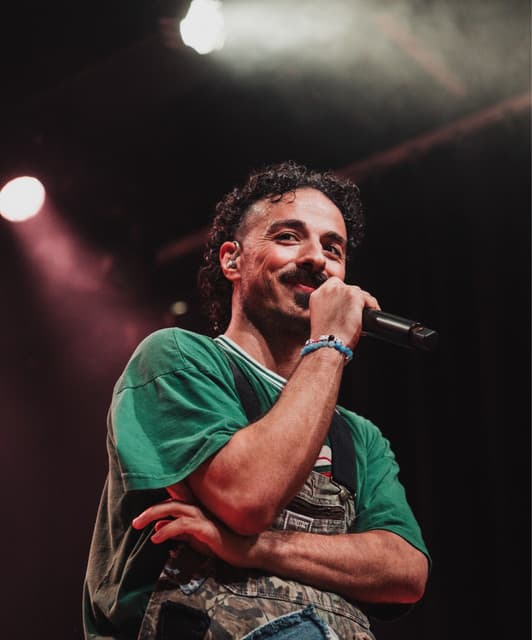 anees's artist profile image