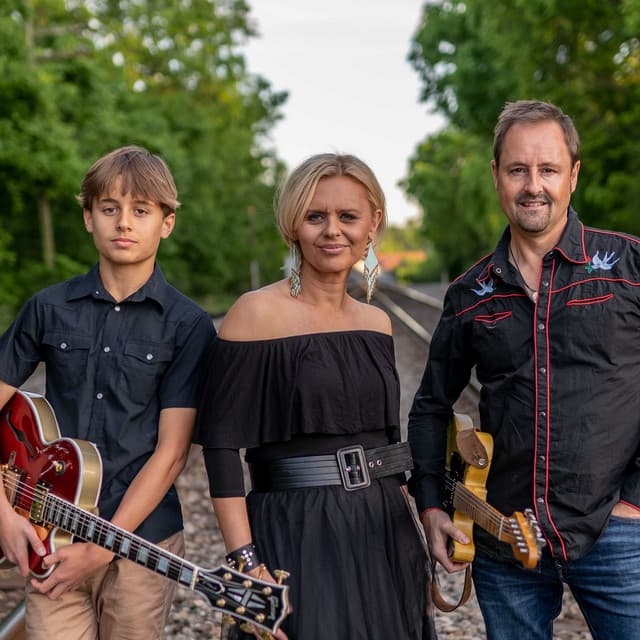 The French Family Band artist profile image