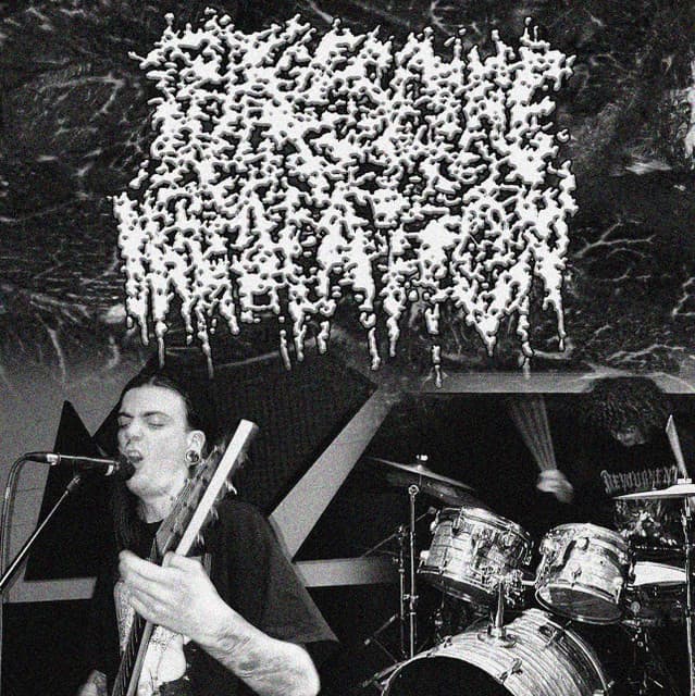 PUTRESCINE INHALATION artist profile image