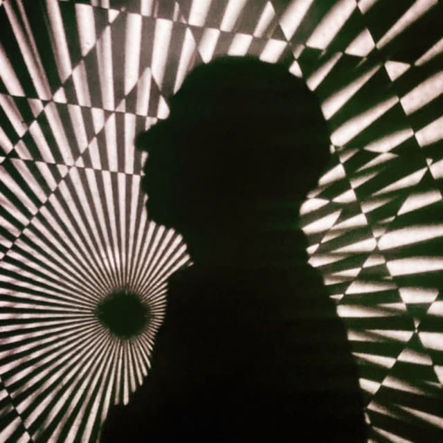 The The artist profile image