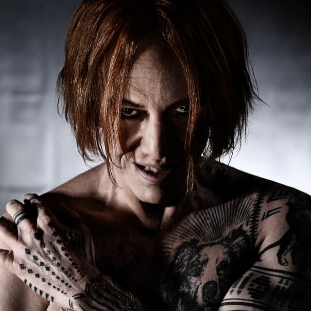 Danny Elfman's artist profile image