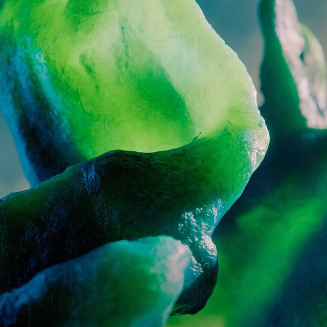 Opal Drums artist profile image