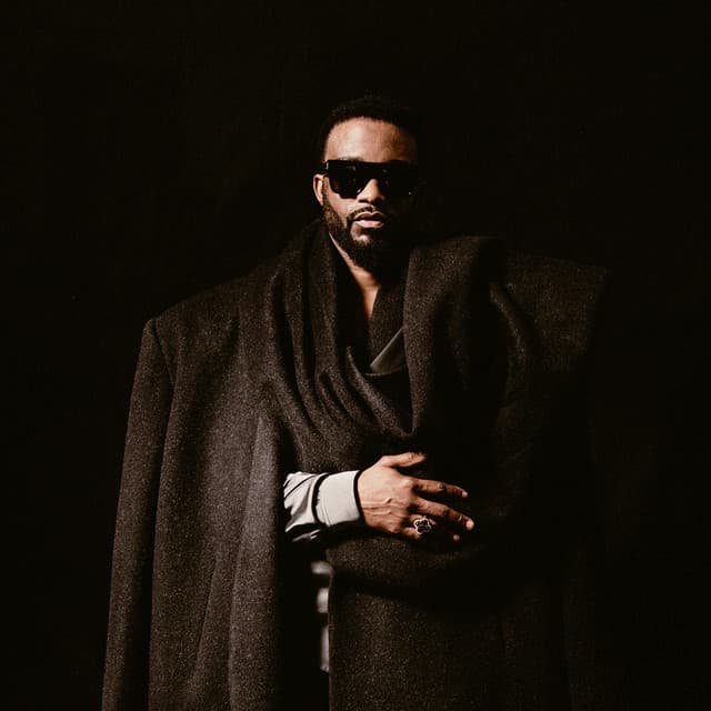 Fally Ipupa artist profile image