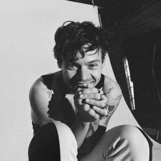 Harry Styles's artist profile image