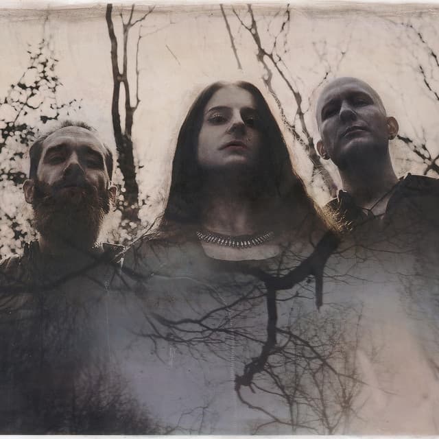 Cellar Darling artist profile image