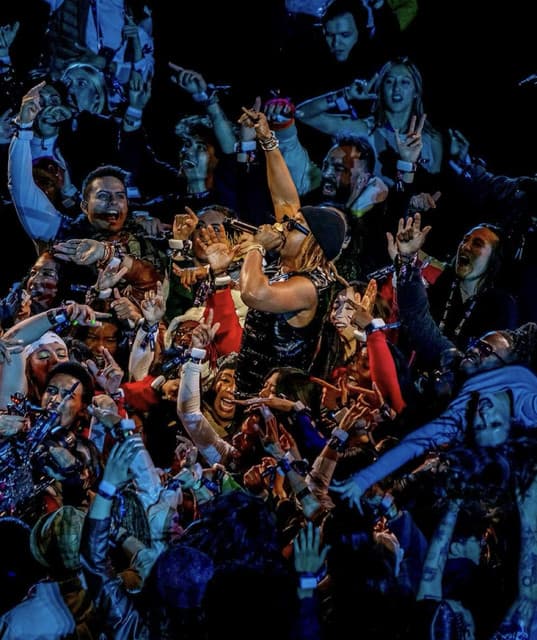 Lil Jon's artist profile image