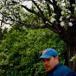 Jeff Rosenstock's artist profile image