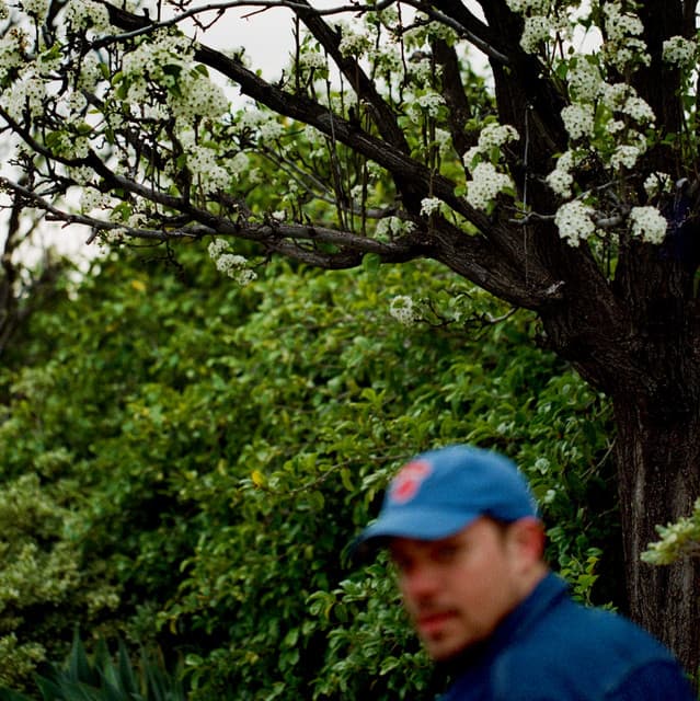Jeff Rosenstock's artist profile image