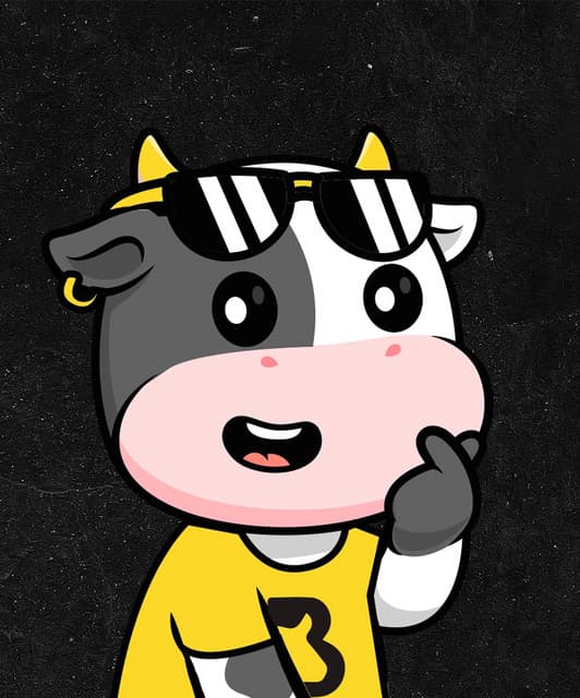 Bulls Talent artist profile image