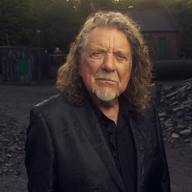 Robert Plant's artist profile image