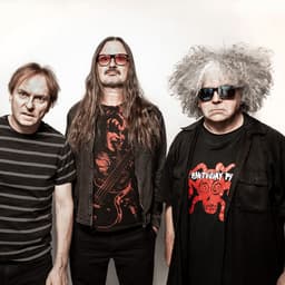 Melvins's artist profile image