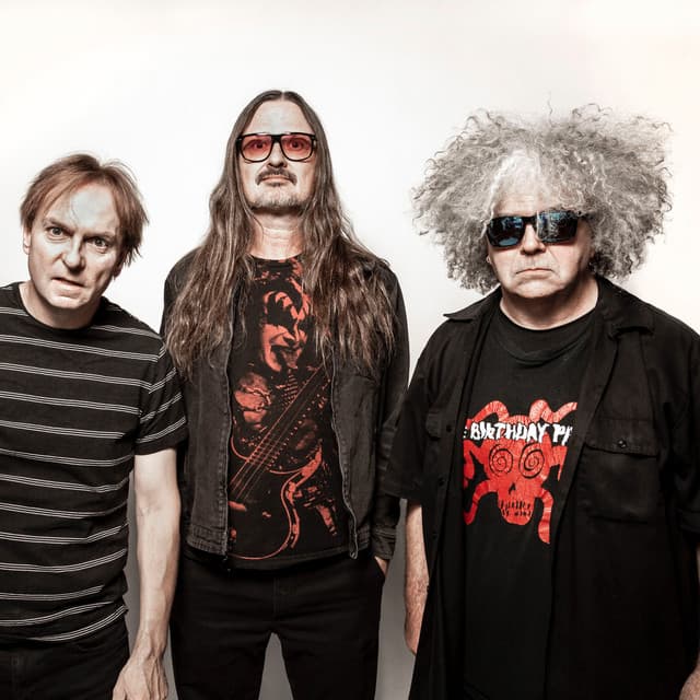 Melvins's artist profile image