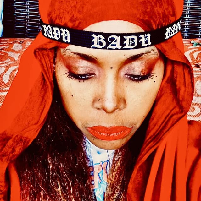 Erykah Badu's artist profile image