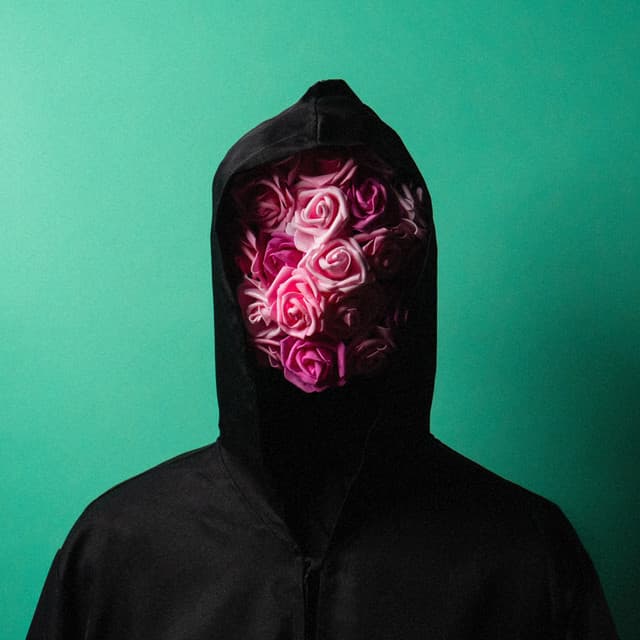 This Wild Life's artist profile image