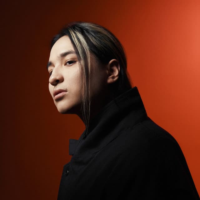 The Limba artist profile image