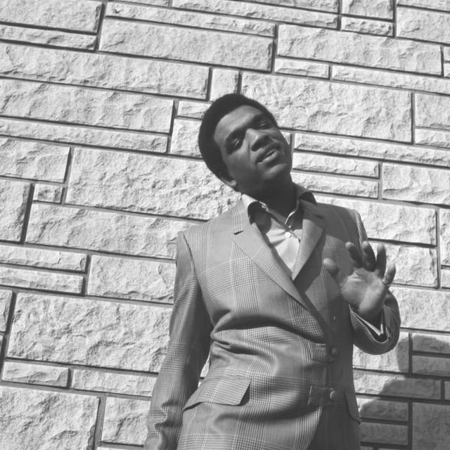 Syl Johnson artist profile image
