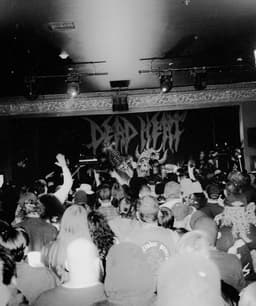 Dead Heat's artist profile image