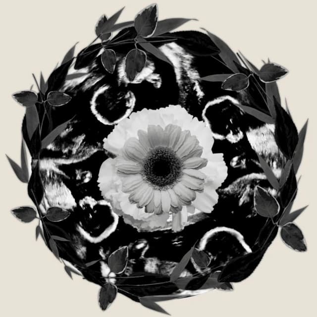 Starsailor artist profile image