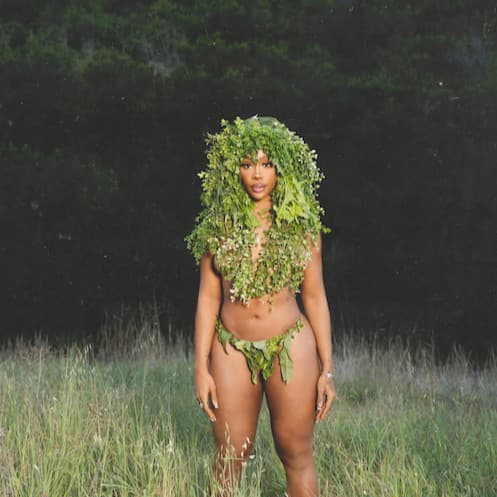 SZA's artist profile image