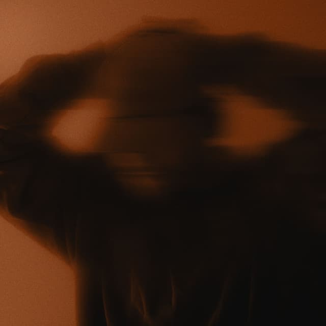 HAVEN. artist profile image