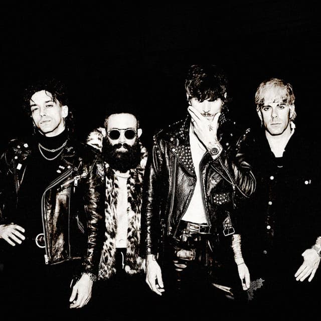 BOYS LIKE GIRLS artist profile