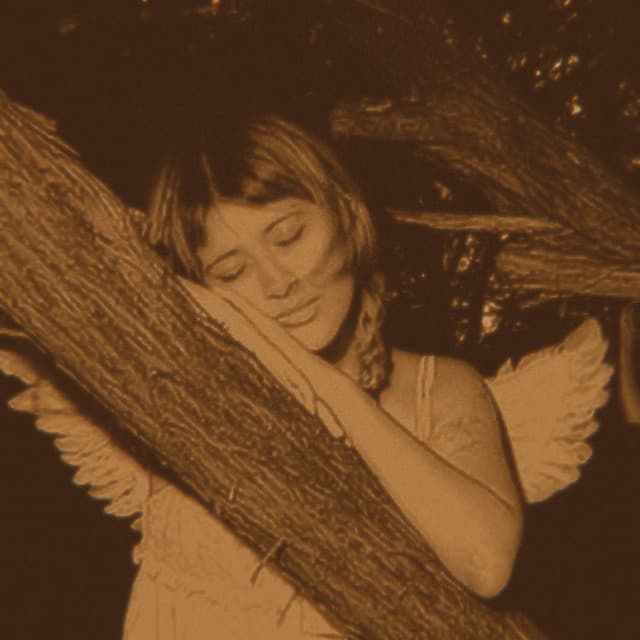 Orca artist profile image