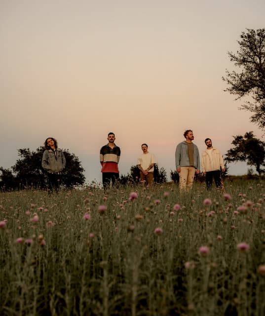 Night Cap's artist profile image