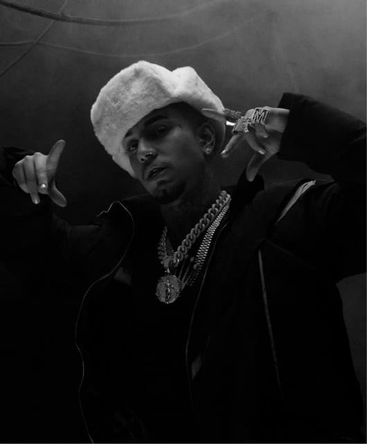 Veigh artist profile image