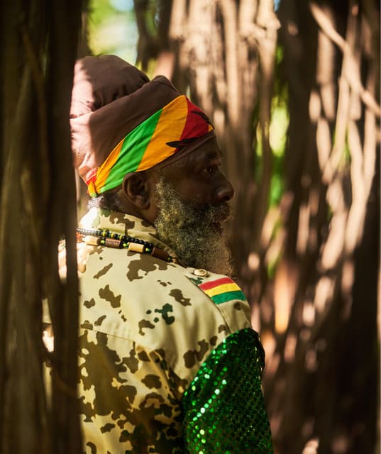 Capleton artist profile image