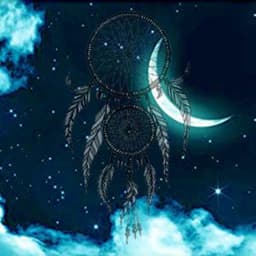 Dreamscaper's artist profile image