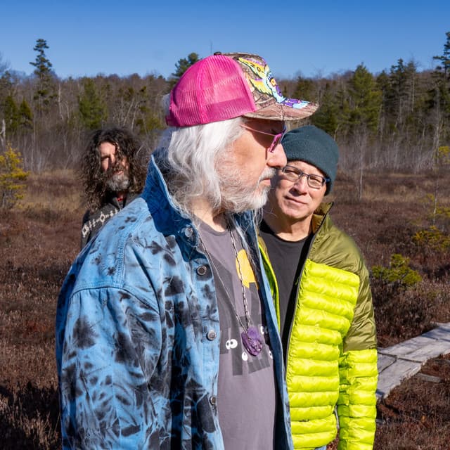 Dinosaur Jr. artist profile