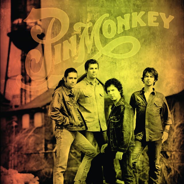 Pinmonkey artist profile image
