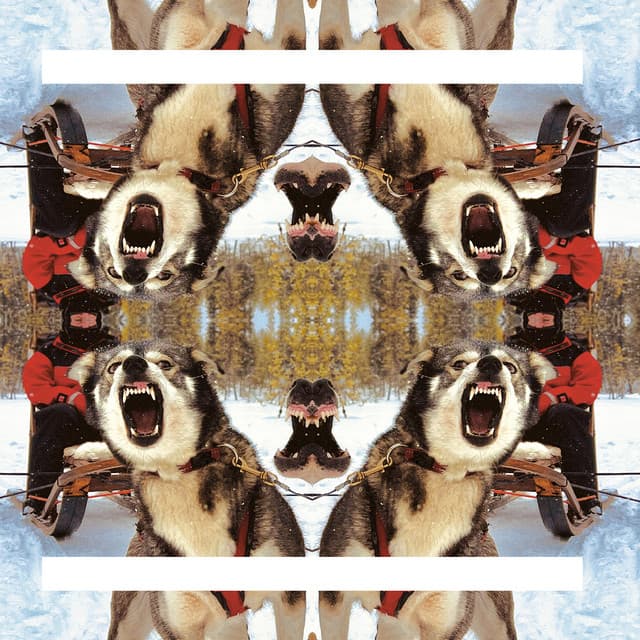 DESTIINO artist profile image