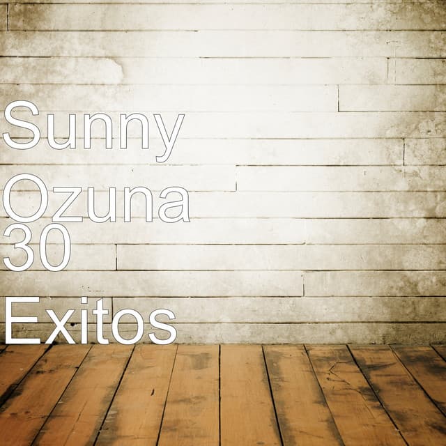 Sunny Ozuna artist profile image