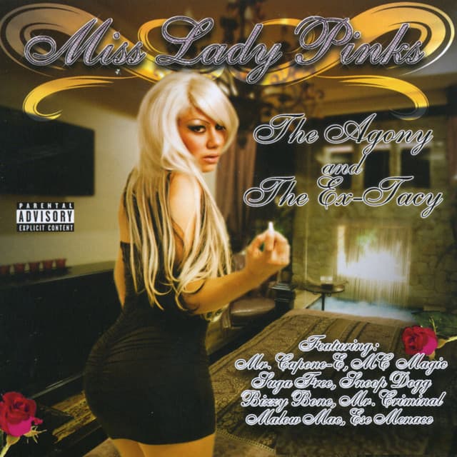 Miss Lady Pinks artist profile image