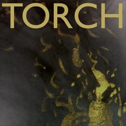 Torch's artist profile image