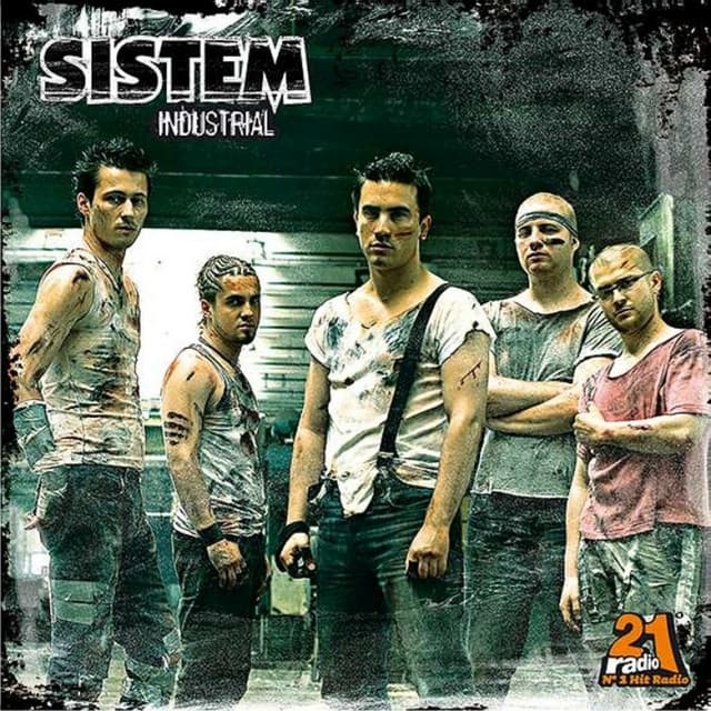 Sistem artist profile image