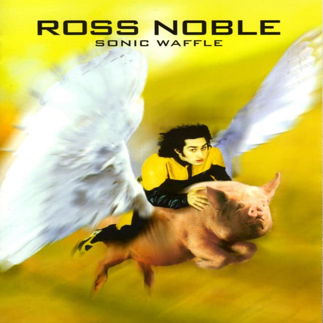 Ross Noble's artist profile image