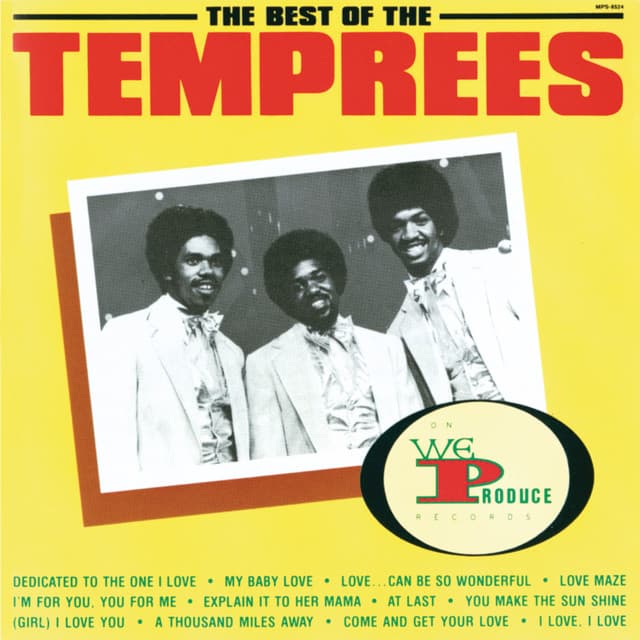 The Temprees's artist profile image