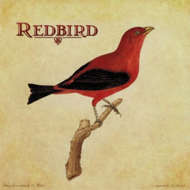 Redbird artist profile image